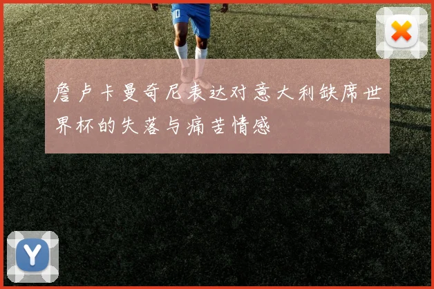 詹卢卡曼奇尼表达对意大利缺席世界杯的失落与痛苦情感