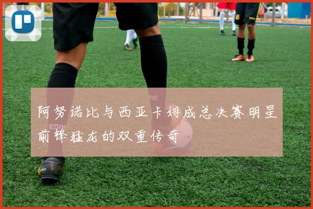 阿努诺比与西亚卡姆成总决赛明星前锋猛龙的双重传奇